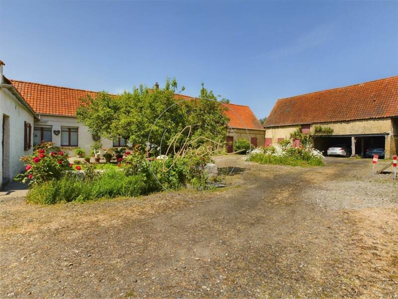 Maison à vendre, 541m², TETEGHEM