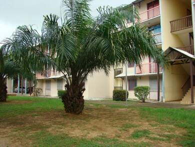 Appartement à vendre 145 800 € 3 pièces 2 chambres 65 m² Étage 2/3 Kourou 97310