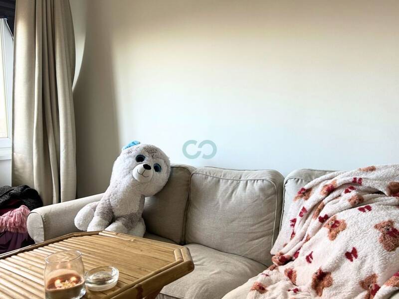 Maison à vendre, 31m², FACHES THUMESNIL