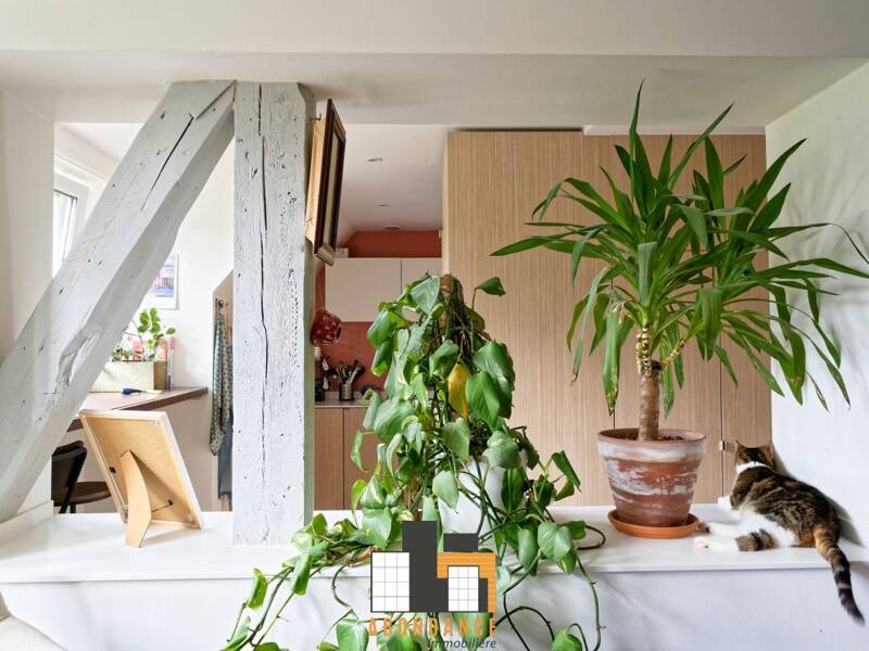 Maison à vendre, 72m², STRASBOURG