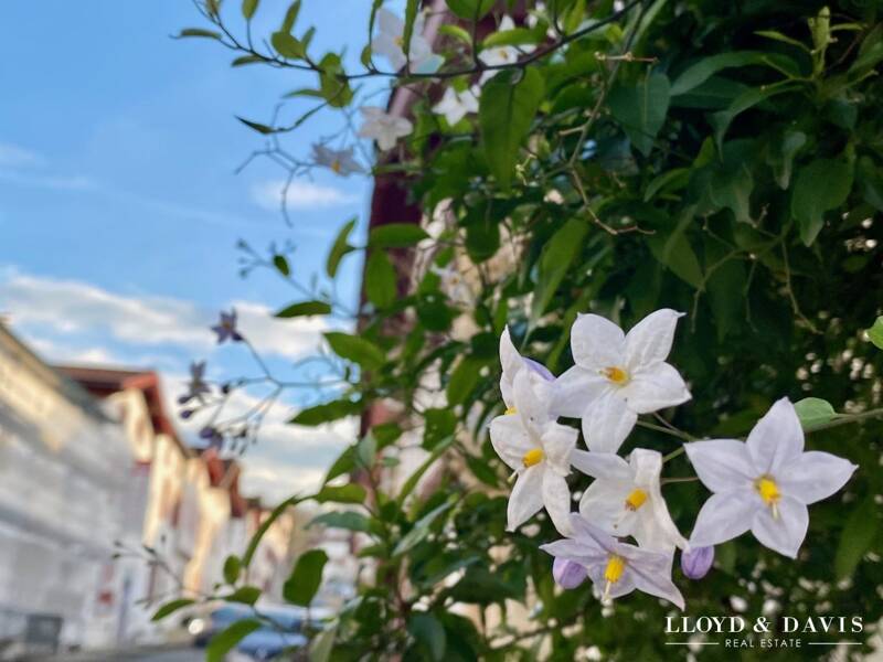 Maison à vendre, 303m², LA BASTIDE CLAIRENCE