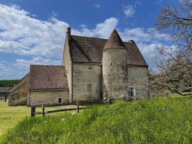 Château à vendre 350 000 € 6 pièces 220 m² 50 000 m² de terrain Nocé 61340