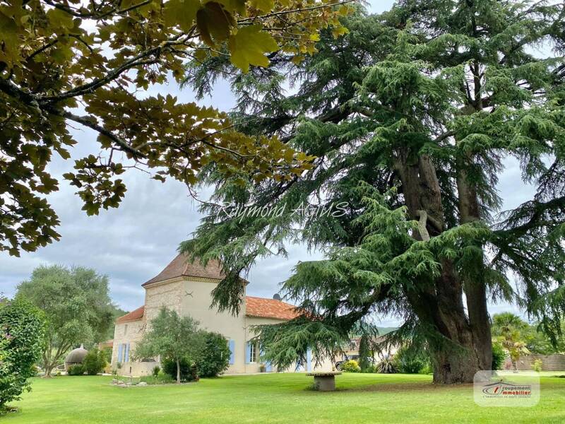 Maison à vendre, 515m², CASTELMORON SUR LOT