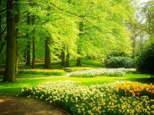 Terrain constructible viabilisé à vendre 43 680 € 840 m² de terrain Challuy 58000