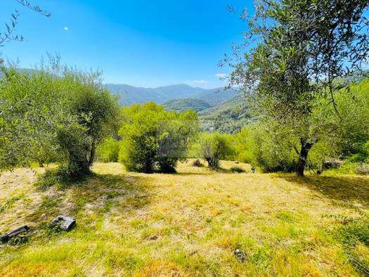 Terrain constructible à vendre 249 000 € 2 357 m² de terrain Blausasc 06440