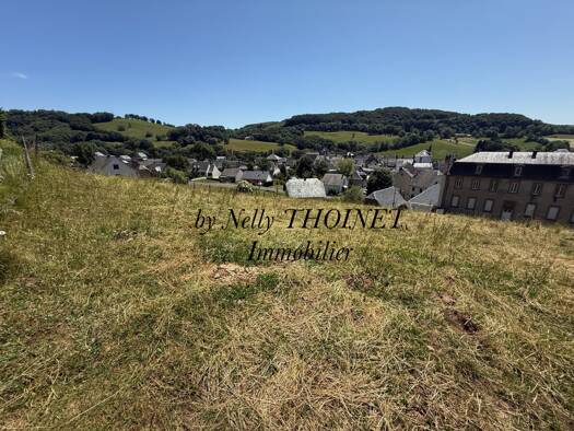 Terrain constructible à vendre 19 000 € 2 547 m² de terrain Égliseneuve-d'Entraigues 63850