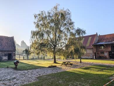 Ferme à vendre 1 100 000 € 12 pièces 7 chambres 380 m² 11 500 m² de terrain Ennevelin 59710