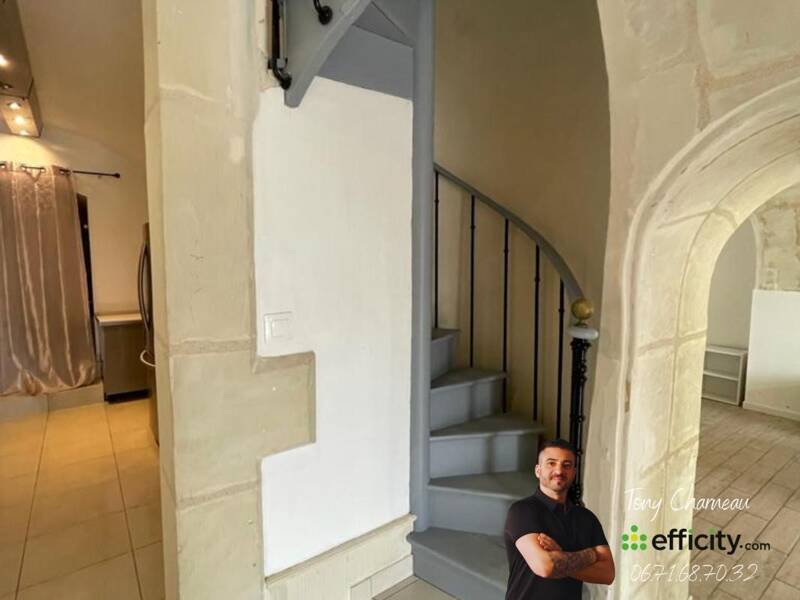 Maison à vendre, 217m², MONTOIRE SUR LE LOIR