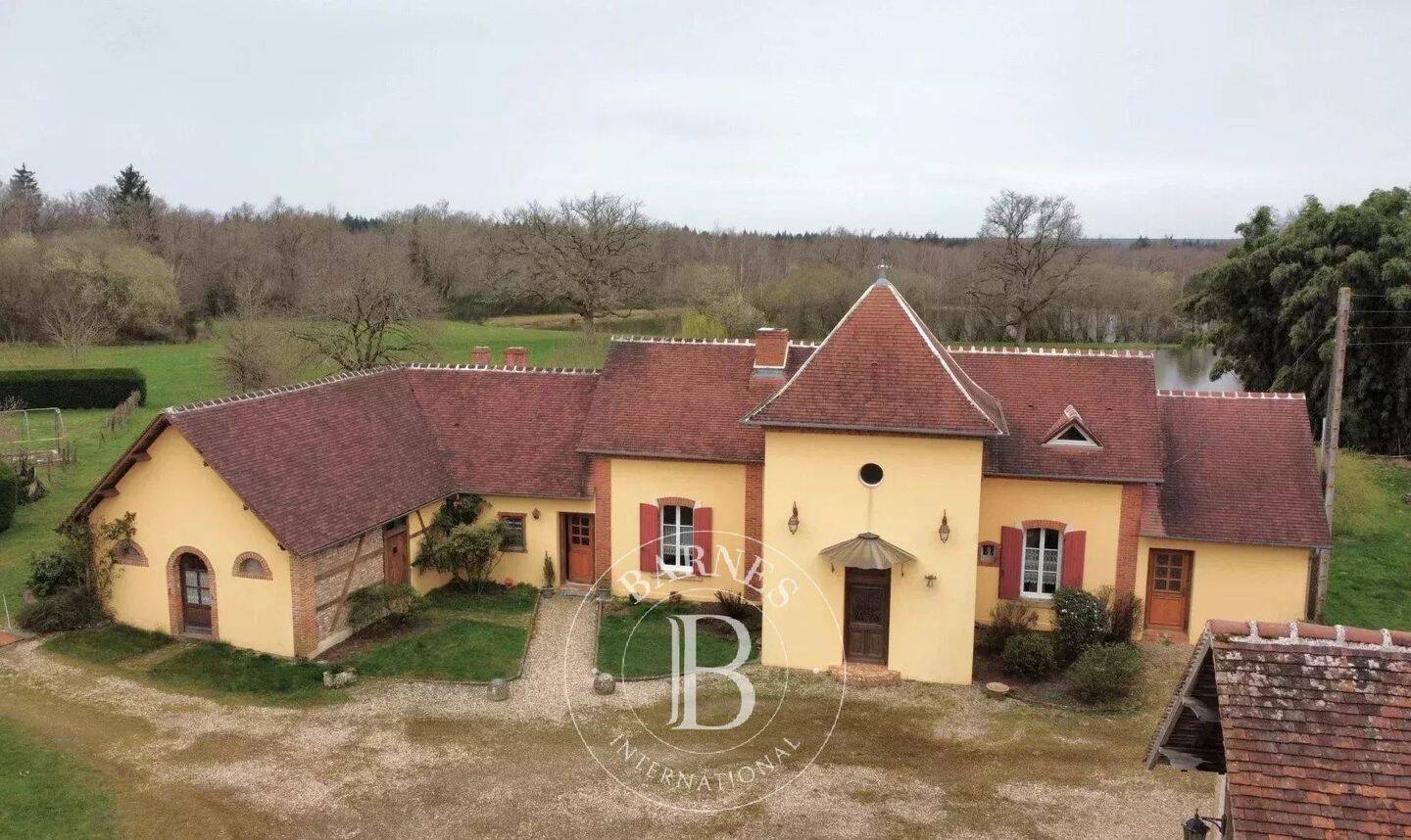 Maison à vendre, 230m², NEUVY SUR BARANGEON