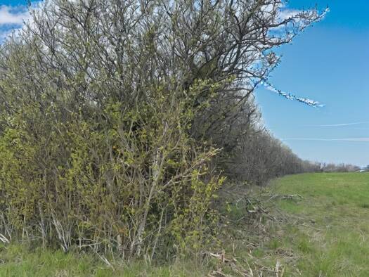 Terrain à vendre 4 000 € 2 409 m² de terrain Favières 54115