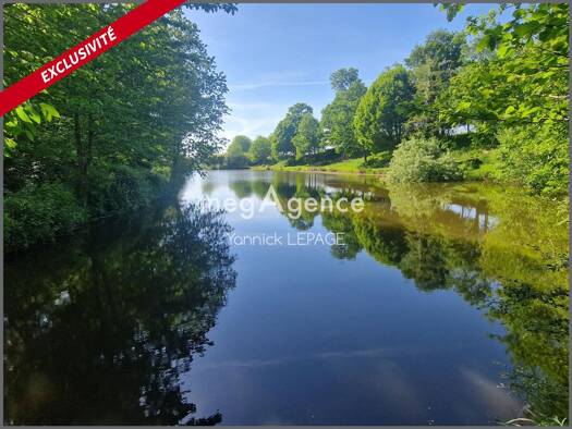 Maison à vendre 342 800 € 6 pièces 5 chambres 140 m² 22 097 m² de terrain Mernel 35330