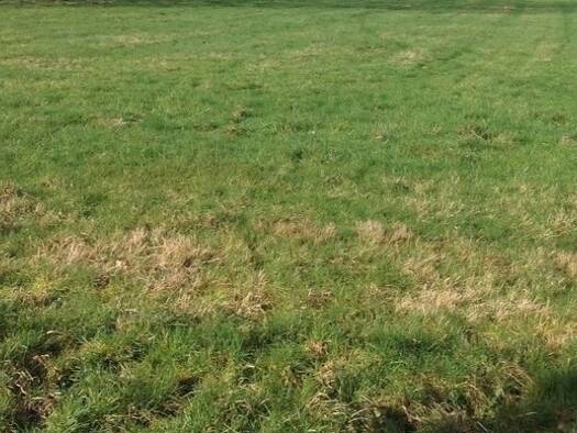 Terrain constructible à vendre 15 500 € 360 m² de terrain Moulins-la-Marche 61380