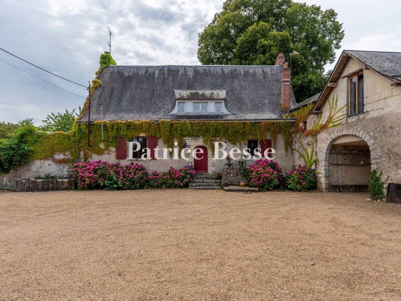 Maison à vendre, 368m², TOURS