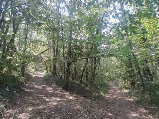Terrain à vendre 15 000 € 21 549 m² de terrain Marsan 32270
