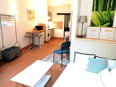 Appartement à louer 500 € 1 pièce 24 m² Carmes-Infirmieres-Thiers Avignon 84000