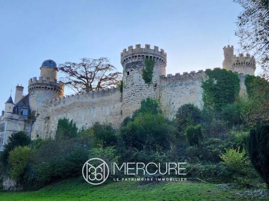 Château à vendre 800 000 € 32 pièces 15 chambres 1 560 m² 108 000 m² de terrain Veauce 03450