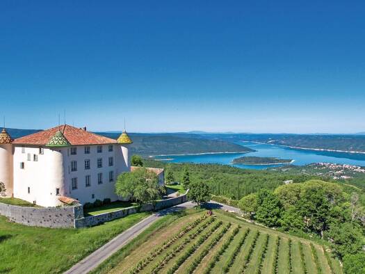 Château à vendre 12 600 000 € 35 pièces 23 chambres 1 039 m² 153 820 m² de terrain Cannes 06150