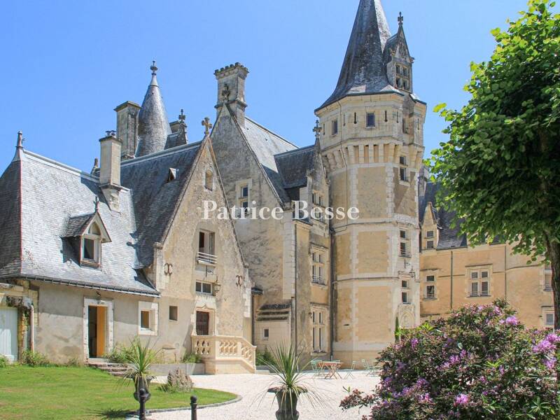 Maison à vendre, 810m², TOURS