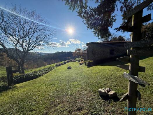 Maison à vendre 496 000 € 5 pièces 3 chambres 200 m² 3 305 m² de terrain Tarare 69170