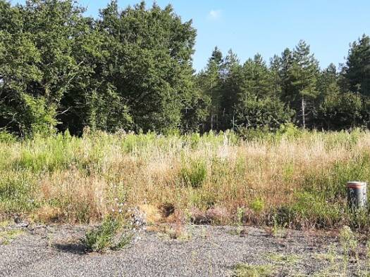 Terrain constructible à vendre 44 900 € 687 m² de terrain Ardenay-sur-Mérize 72370