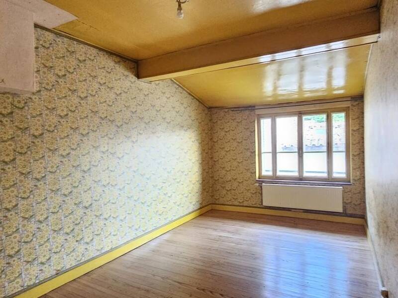 Maison à vendre, 280m², LOIRE SUR RHONE