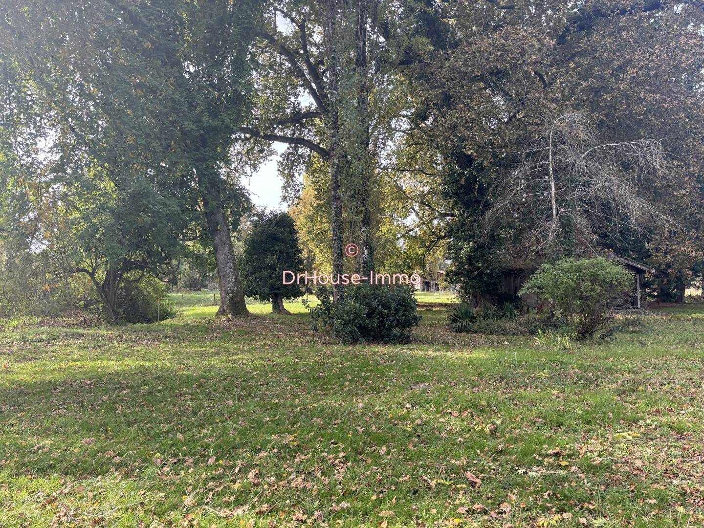 Maison à vendre, 220m², SAINT MICHEL DE RIEUFRET