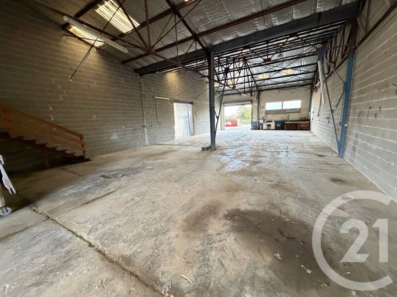 Maison à louer, 250m², L'ISLE JOURDAIN