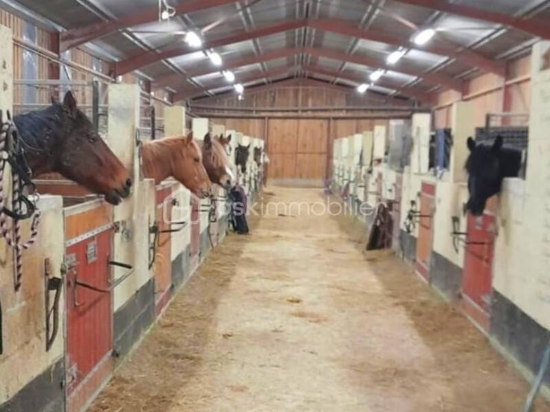 Maison à vendre, 2112m², NOVION PORCIEN