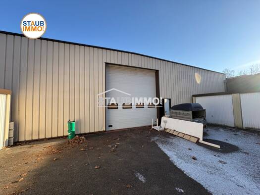 Local d'activités à louer 2 000 € 308 m² d'espace de stockage Saint-Louis 68300