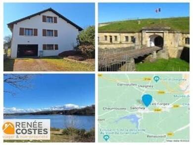 Maison en viager occupé Bouquet 42 100 € 4 pièces 2 chambres 100 m² 2 005 m² de terrain Sanchey 88390
