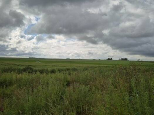 Terrain constructible viabilisé à vendre 63 600 € 600 m² de terrain Plivot 51150