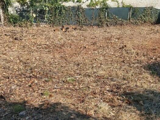 Terrain constructible à vendre 91 000 € 238 m² de terrain Moret-Loing-et-Orvanne 77250