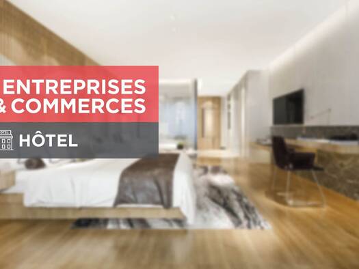 Hôtel à vendre Fonds de commerce 324 000 € 359 m² d'espace de restauration Centre Ville Blois 41000