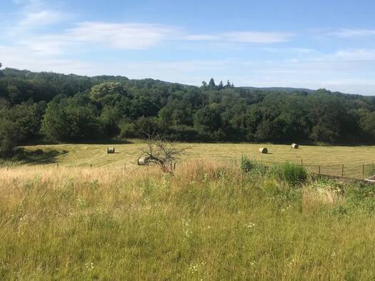 Terrain constructible viabilisé à vendre 105 000 € 1 439 m² de terrain Palente - Orchamps - La Combe Saragosse Besançon 25000