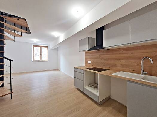 Appartement à louer 600 € 3 pièces 2 chambres 47 m² Étage 2/2 Saint Symphorien sur Coise 69590