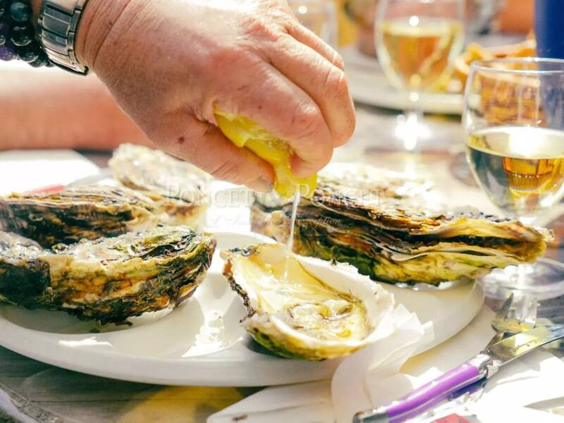 Maison à vendre, 2000m², MONTPELLIER