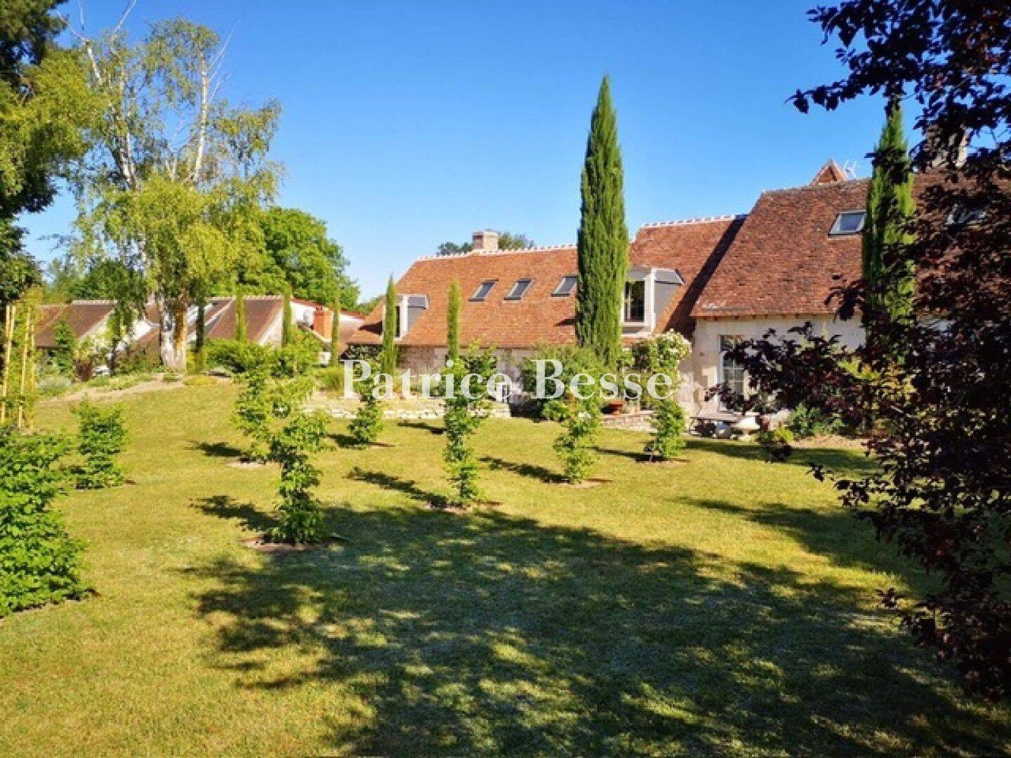 Maison à vendre, 300m², SELLES SUR CHER