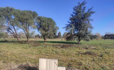 Terrain constructible à vendre 110 000 € 835 m² de terrain Pau 64000