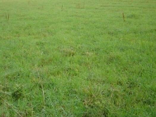 Terrain constructible à vendre 20 500 € 1 000 m² de terrain Montmerrei 61570