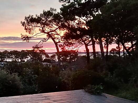 Villa à vendre 1 966 500 € 6 pièces 4 chambres 129 m² 1 571 m² de terrain Centre Cap Ferret Lège-Cap-Ferret 33970