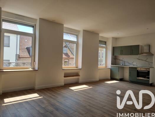Appartement à vendre 107 000 € 2 pièces 1 chambre 45 m² Étage 2/3 Centre Ville Sarreguemines 57200
