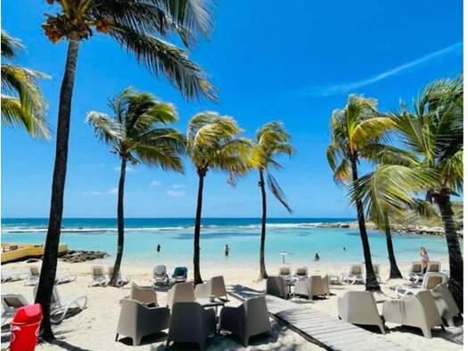 Appartement à vendre 119 000 € 1 pièce 19 m² Étage 1/1 disponible dès maintenant Saint-François 97118