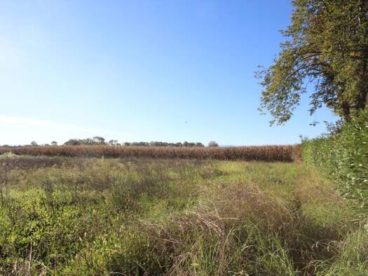 Terrain constructible à vendre 90 000 € 1 528 m² de terrain Uzein 64230