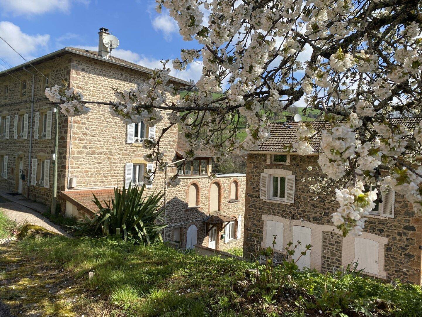 Maison à vendre, 380m², SAINT VINCENT DE REINS
