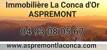 IMMOBILIERE LA CONCA D'OR ASPREMONT