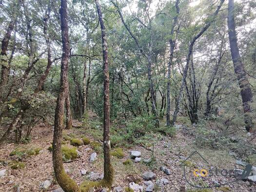 Terrain à vendre 7 500 € 2 430 m² de terrain Châteaudouble 83300