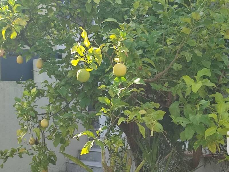 Maison à vendre, 159m², TOULON