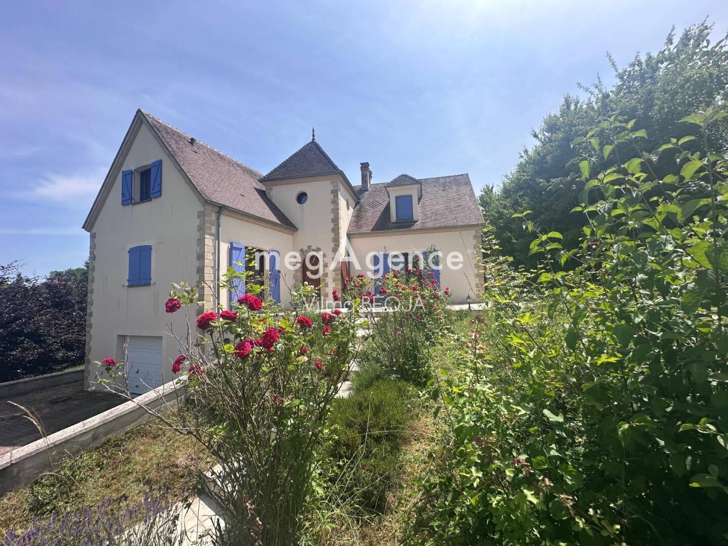 Maison à vendre, 230m², PONT SUR YONNE