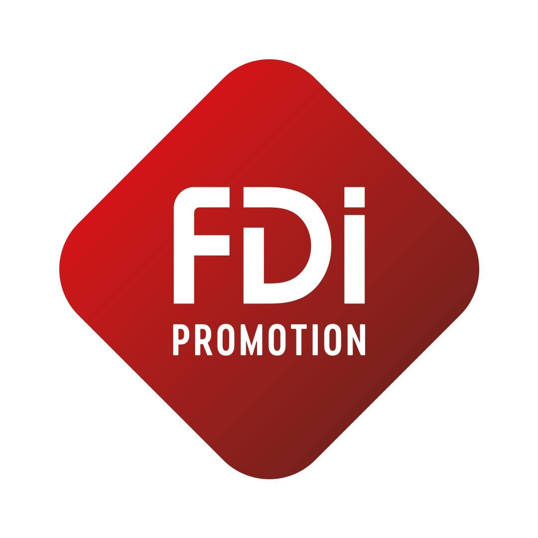 FDI PROMOTION