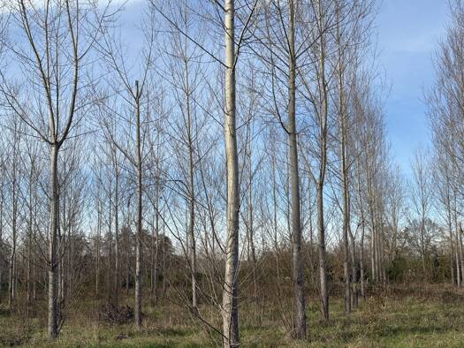 Terrain à vendre 76 700 € 58 100 m² de terrain Fumel 47500